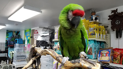 Sparky's Bird Store