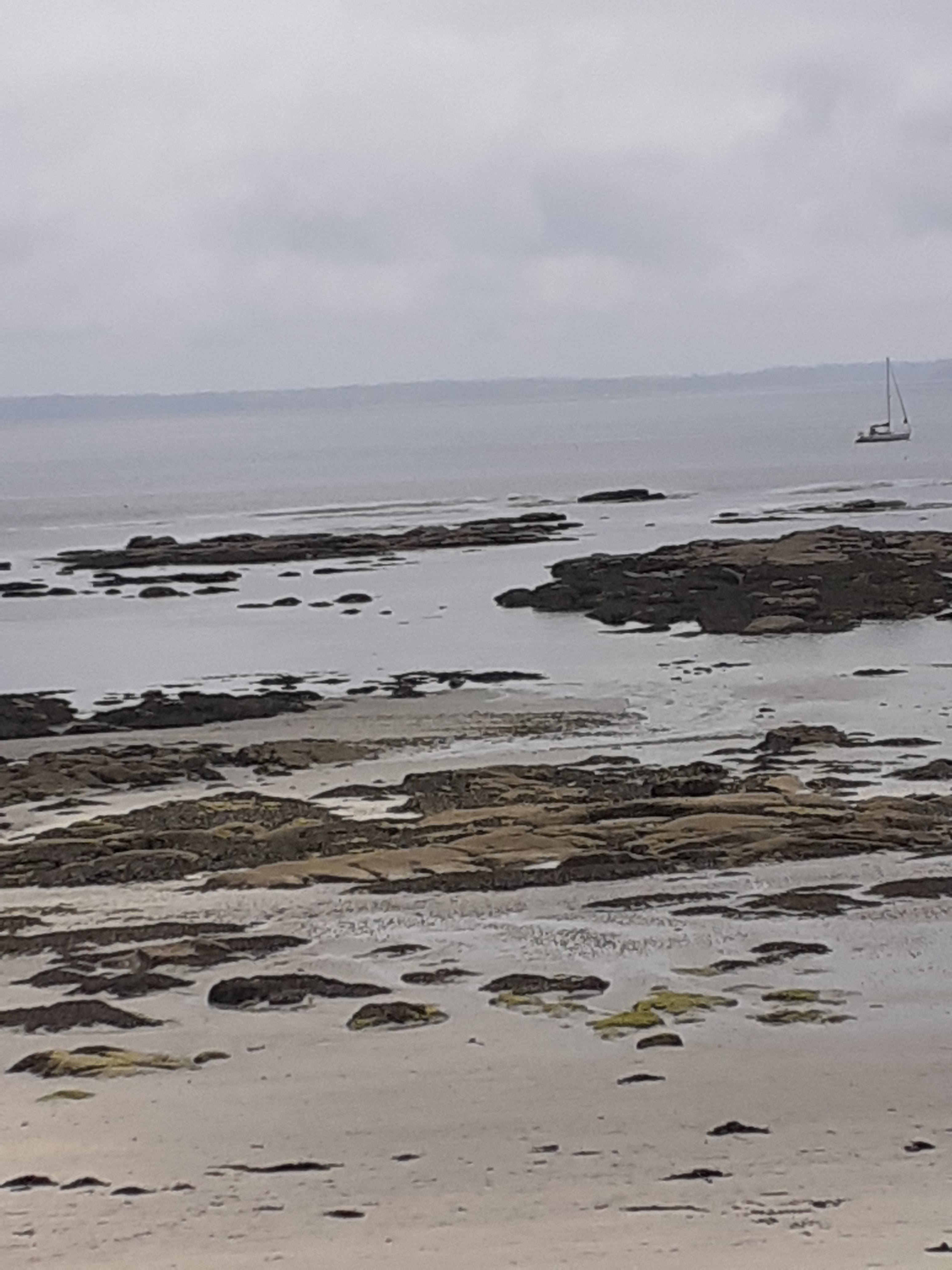 Photo n° 1 de l'avis de Ghislaine.a fait le 10/07/2021 à 13:49