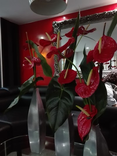 Photos of Hotel Zuldemayda