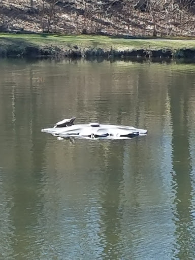 Park «Grover Cleveland Park», reviews and photos, Brookside Ave & Runnymede Rd, Essex Fells, NJ 07021, USA