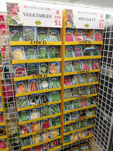Dollar Store «Dollar Tree», reviews and photos, 2135 Howland Blvd #110, Deltona, FL 32738, USA