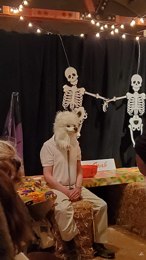 Auditorium «Stinson Beach Community Center», reviews and photos, 32 Belvedere Ave, Stinson Beach, CA 94970, USA