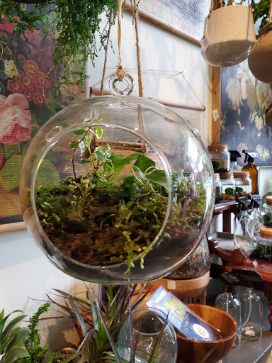 Florist «Flora», reviews and photos, 428 Haywood Rd B, Asheville, NC 28806, USA