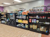 Asylum Pets - Car repair in Wyoming, MI, Grand Rapids - Rated 4.8/5