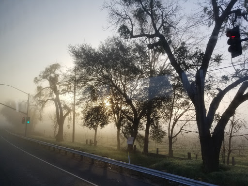 Produce Market «Clements Ridge Produce», reviews and photos, 23225 CA-88, Clements, CA 95227, USA