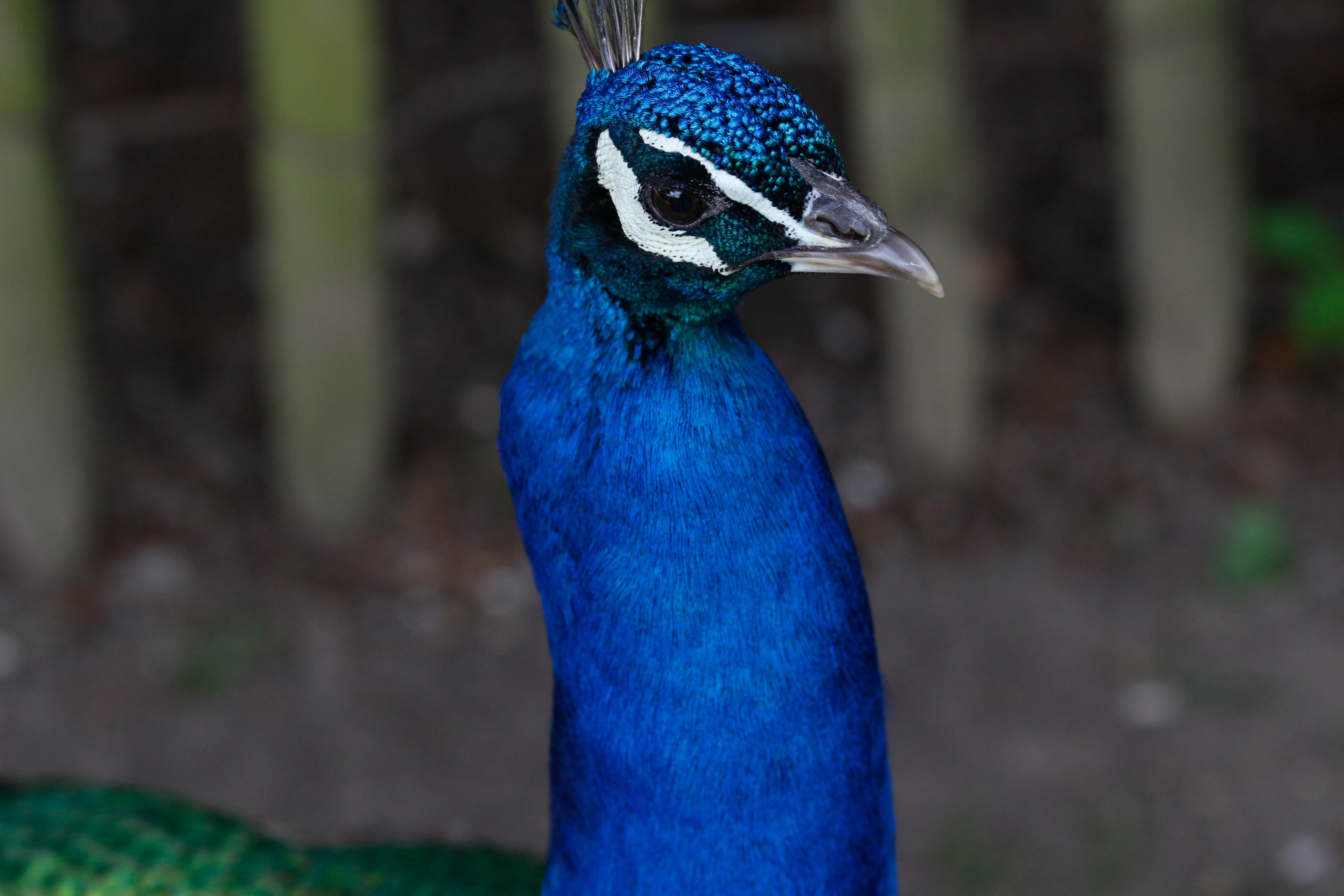Photo n° 3 de l'avis de Laurent. fait le 05/08/2022 à 12:06