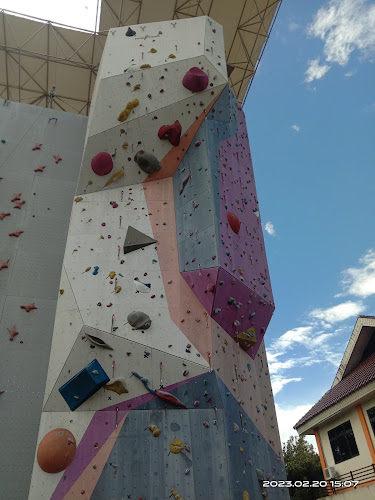 Wall Climbing Cendrawasih
