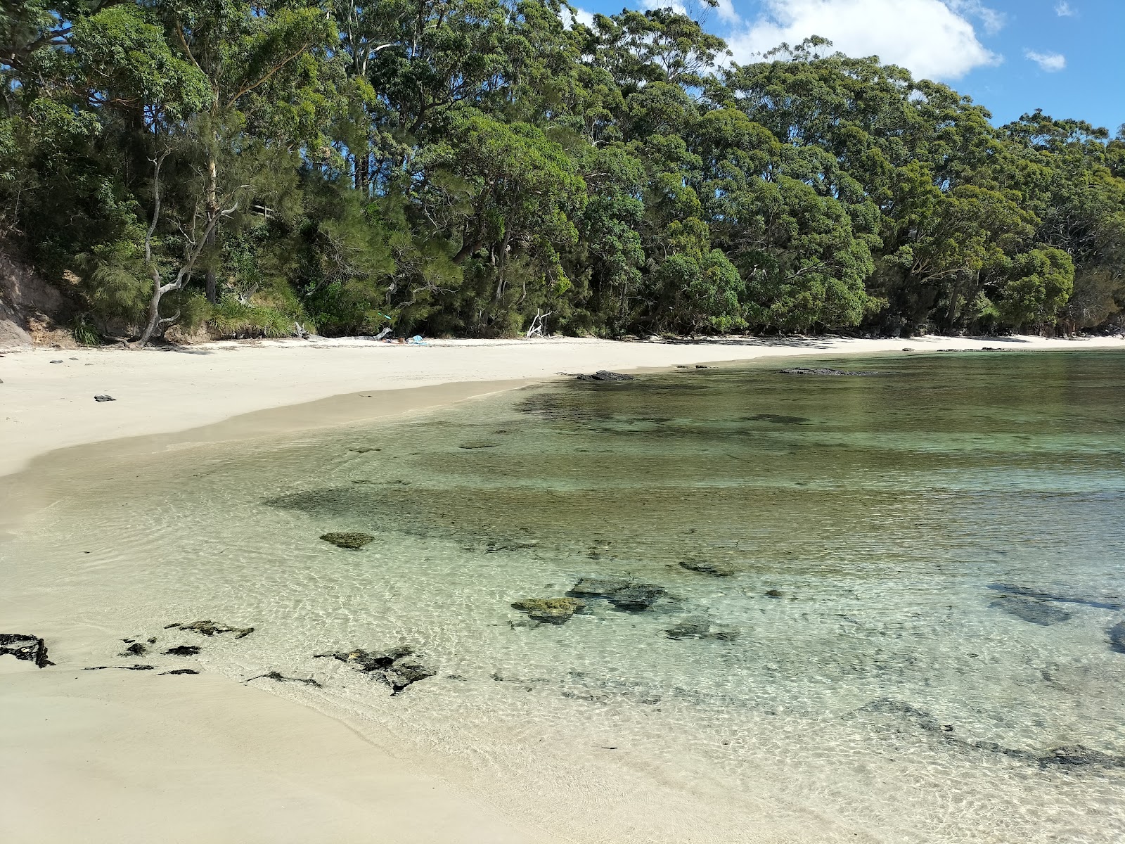 Orion Beach的照片 具有非常干净级别的清洁度