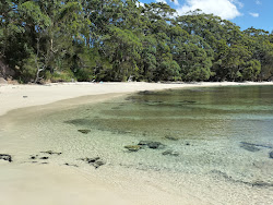 Orion Beach的照片 具有非常干净级别的清洁度