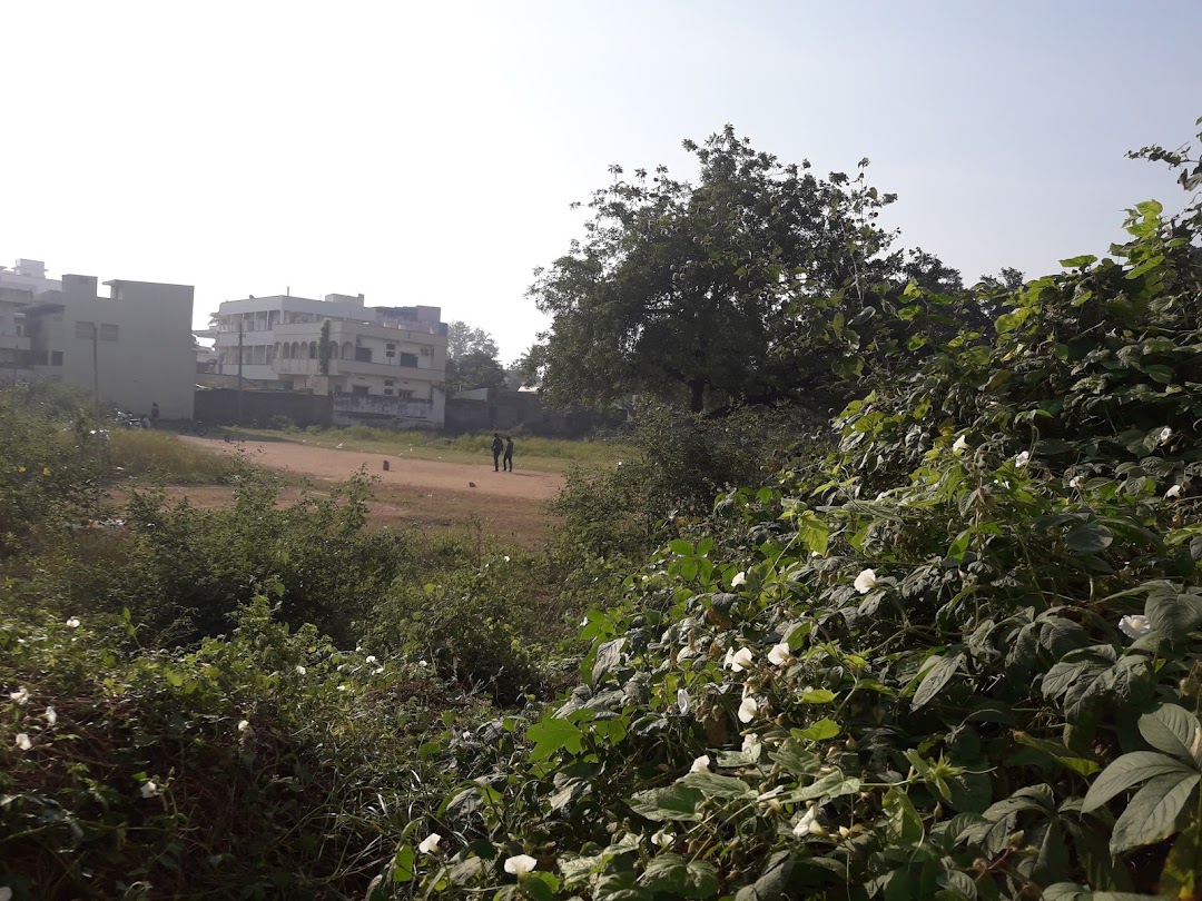 Ashram grounds