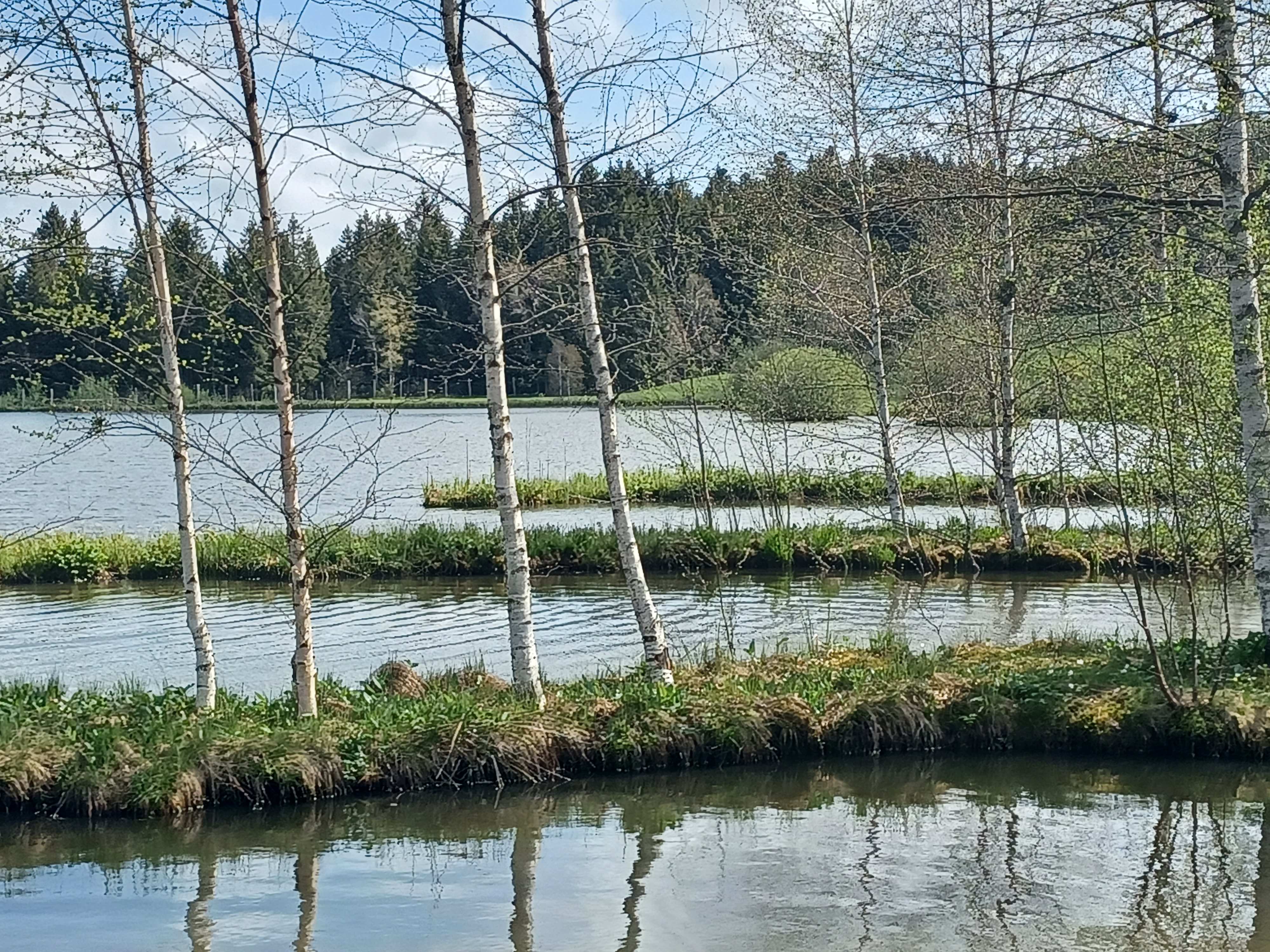 Photo n° 3 de l'avis de Jean-Luc.a fait le 10/05/2022 à 15:29