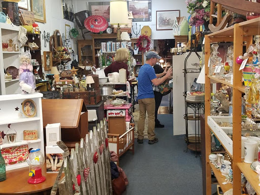 The Mischievous Monkeys