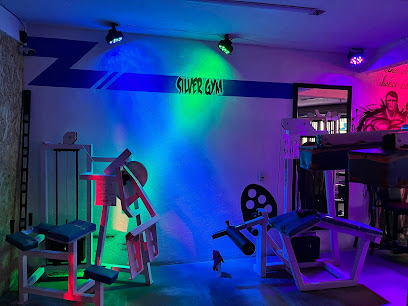 SILVER FITNESS GYM