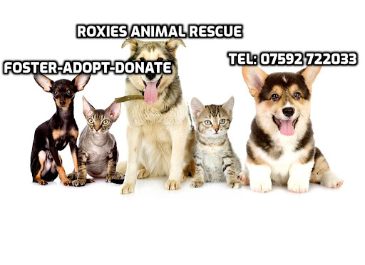 Roxies Animal Rescue