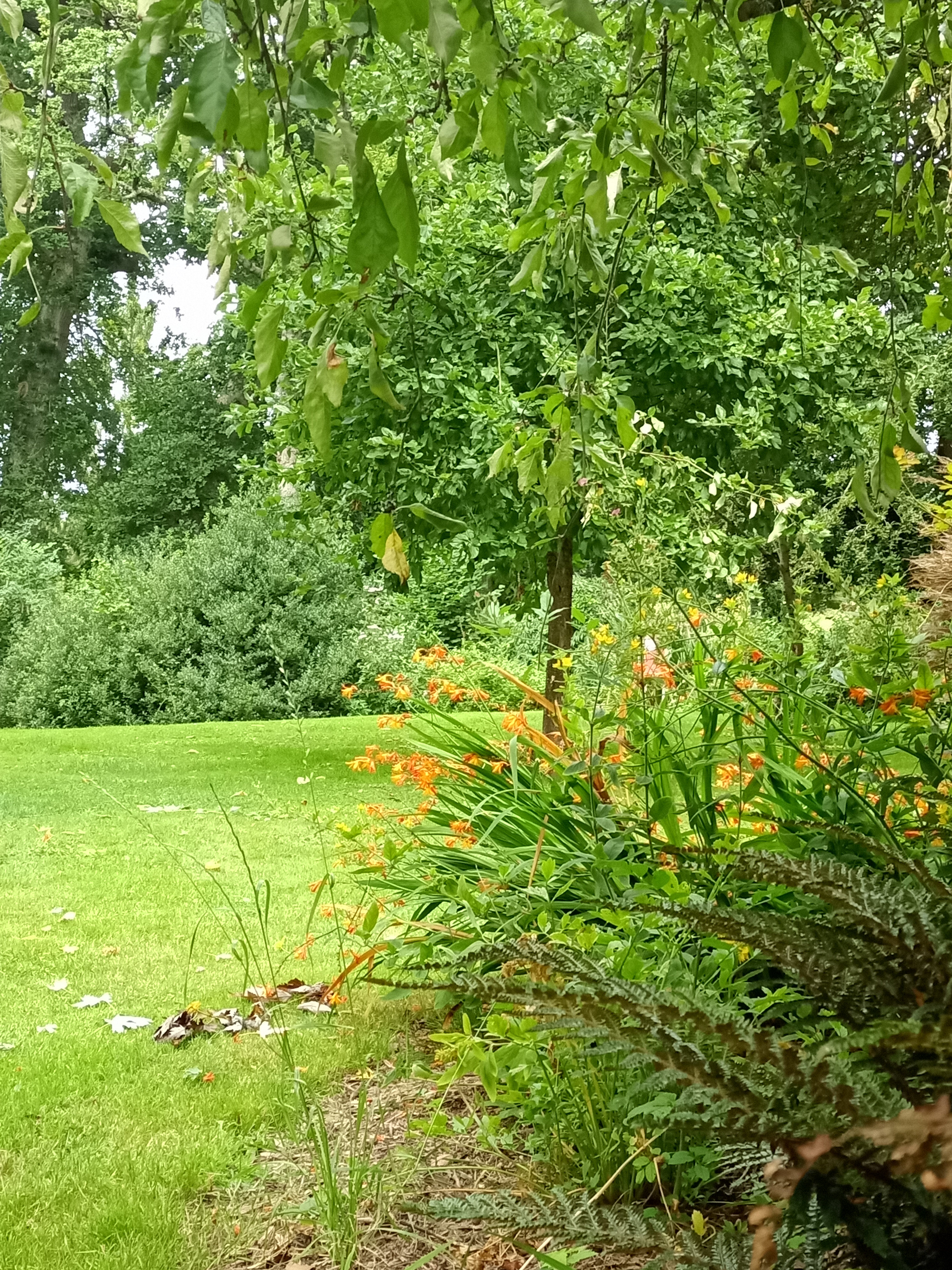 Photo n° 16 de l'avis de Tycha.a fait le 26/08/2021 à 15:44