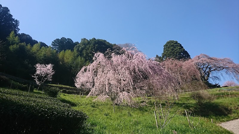 秋葉神社 高知県仁淀川町別枝 神社 神社 寺 グルコミ