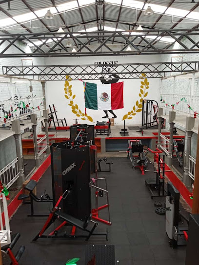 Colossus Gym - Reforma, Primera Secc, 75560 Esperanza, Pue., Mexico