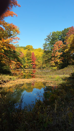Nature Preserve «Ragged Mountain Memorial Preserve», reviews and photos, 240 Kensington Rd, Berlin, CT 06037, USA