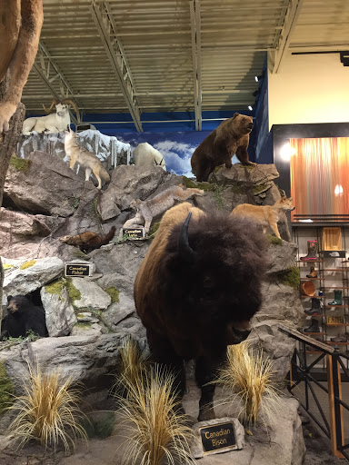 Outdoor Sports Store «Field & Stream», reviews and photos, 2075 Interchange Rd, Erie, PA 16509, USA