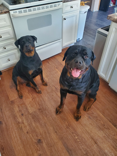 Pet Supply Store «Petco Animal Supplies», reviews and photos, 4012 W 27th Ave, Kennewick, WA 99337, USA