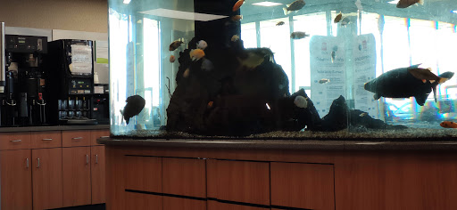 Toyota Dealer «Maplewood Toyota», reviews and photos, 2873 Maplewood Dr, Maplewood, MN 55109, USA