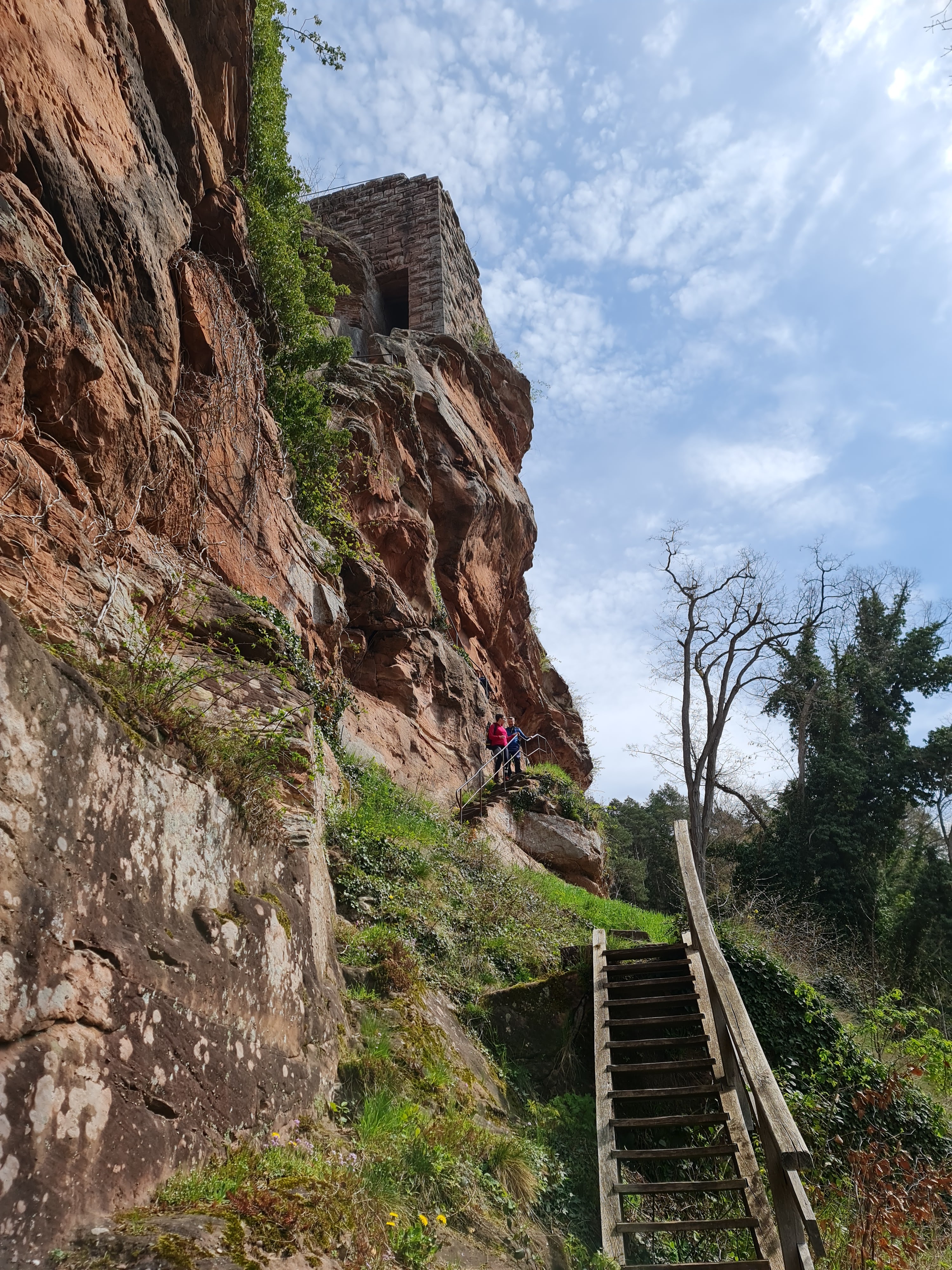 Photo n° 2 de l'avis de Roland.y fait le 23/04/2023 à 08:05