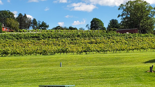 Winery «Clover Hill Vineyards & Winery», reviews and photos, 9850 Newtown Rd, Breinigsville, PA 18031, USA