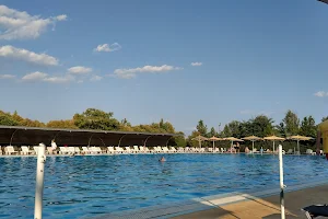 Lacqua Swimming Club image