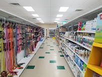 Village Pet Supplies & Gifts - Photo 7 - Car repair in Luzerne, PA, Scranton