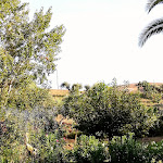 Photo n°2 de l'avis de Cettina.i fait le 21/09/2018 à 17:39 sur le  Antica Masseria à Bolognetta