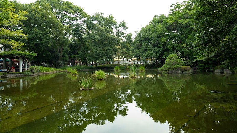 後谷公園 下の池