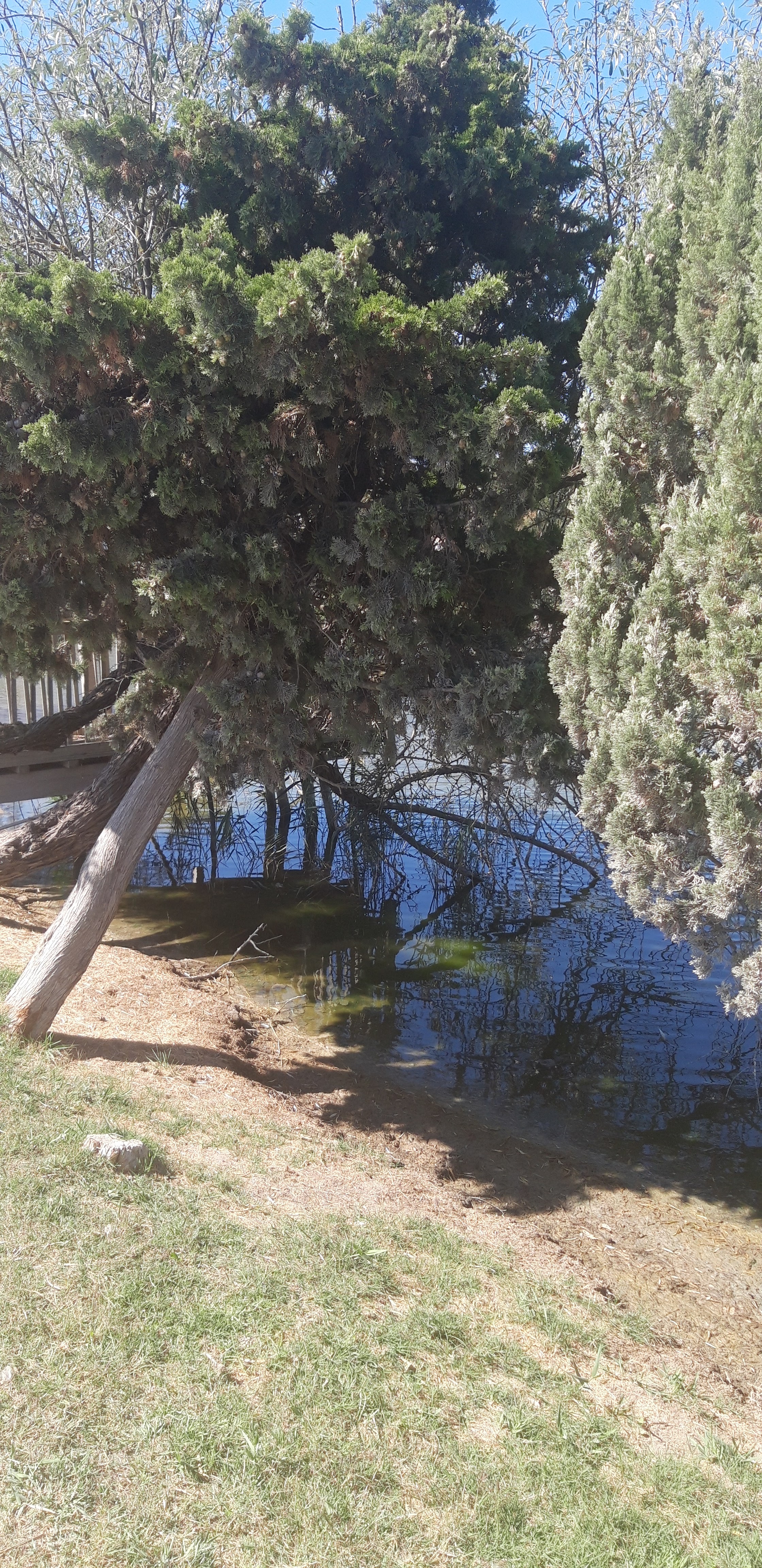 Photo n° 1 de l'avis de Daniele.i fait le 09/09/2019 à 11:56