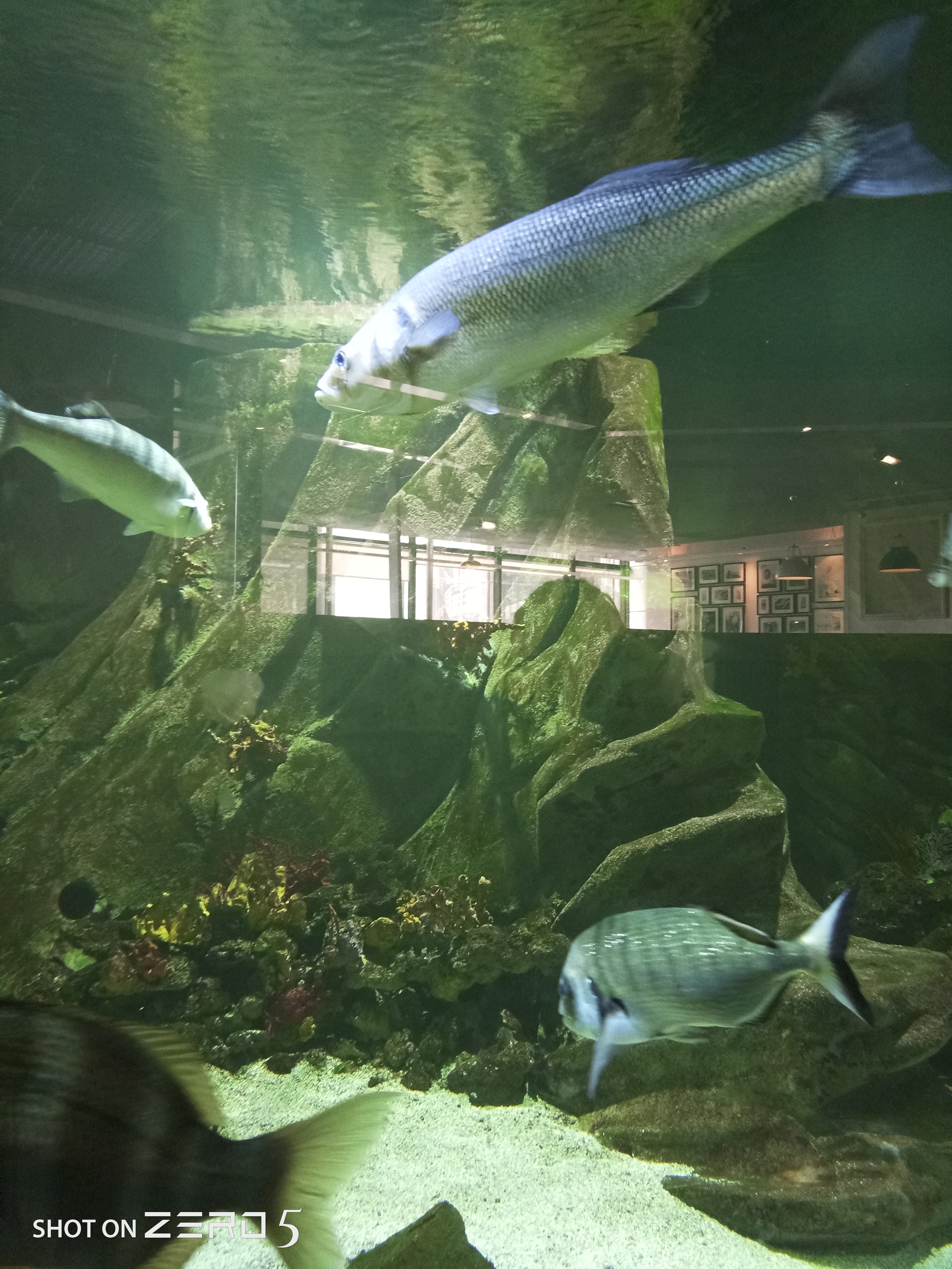 Photo n° 3 de l'avis de rolande.c fait le 13/08/2023 à 21:06