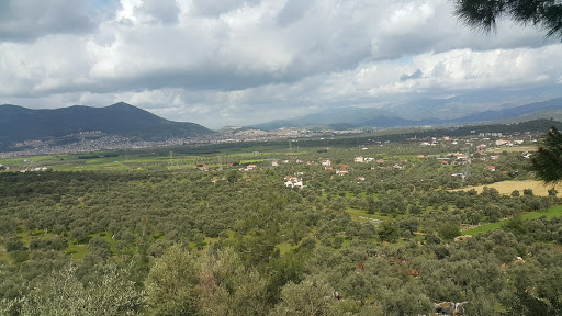 Milas Kaymakamlığı