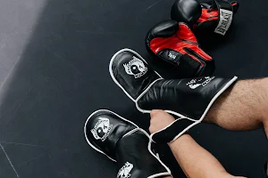 FightIQ MMA Gym image