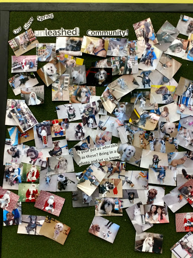 Pet Supply Store «Unleashed by Petco», reviews and photos, 8412 Georgia Ave, Silver Spring, MD 20910, USA