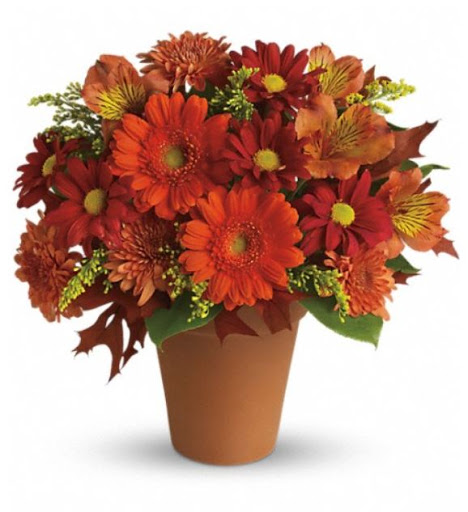 Florist «Park Ridge Florist», reviews and photos, 145 Kinderkamack Rd, Park Ridge, NJ 07656, USA