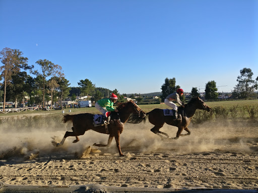 Cursos de equitação Oporto