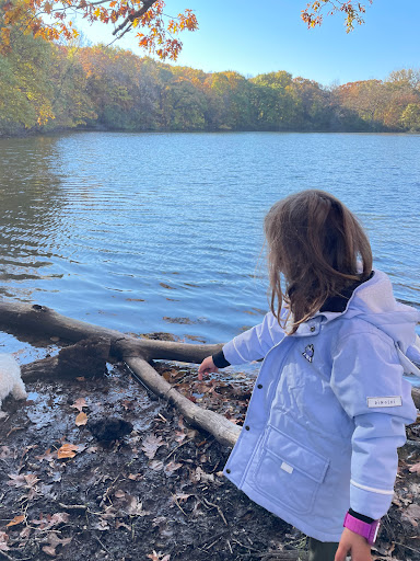 Nature Preserve «Penny Road Pond», reviews and photos, Penny Rd, Barrington, IL 60010, USA