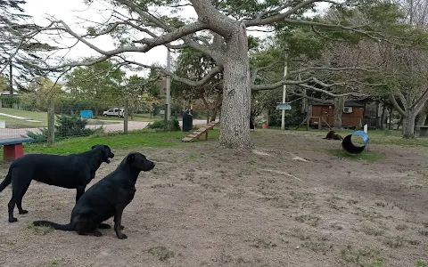 Espacio Canino Park image