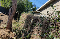 Pacific Green Landscape Maintenance - Photo 7 - Car repair in Whittier, CA, Long Beach