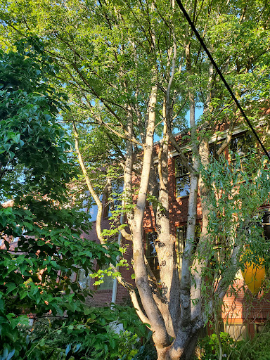 Movie Theater «McMenamins Anderson School Theater», reviews and photos, 18607 Bothell Way NE, Bothell, WA 98011, USA