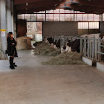 Photo n°1 de l'avis de Antonella.' fait le 07/12/2019 à 17:54 sur le  Cascina Ranverso à Buttigliera Alta