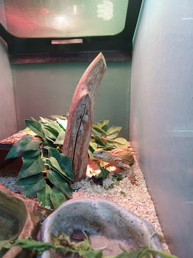 Pet Supply Store «Atlas Pet Supply», reviews and photos, 1798 Market Dr, Stillwater, MN 55082, USA