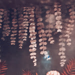 Photo n°3 de l'avis de Ivan.e fait le 31/07/2022 à 23:03 sur le  lotus pizza&cucina à Sottomarina