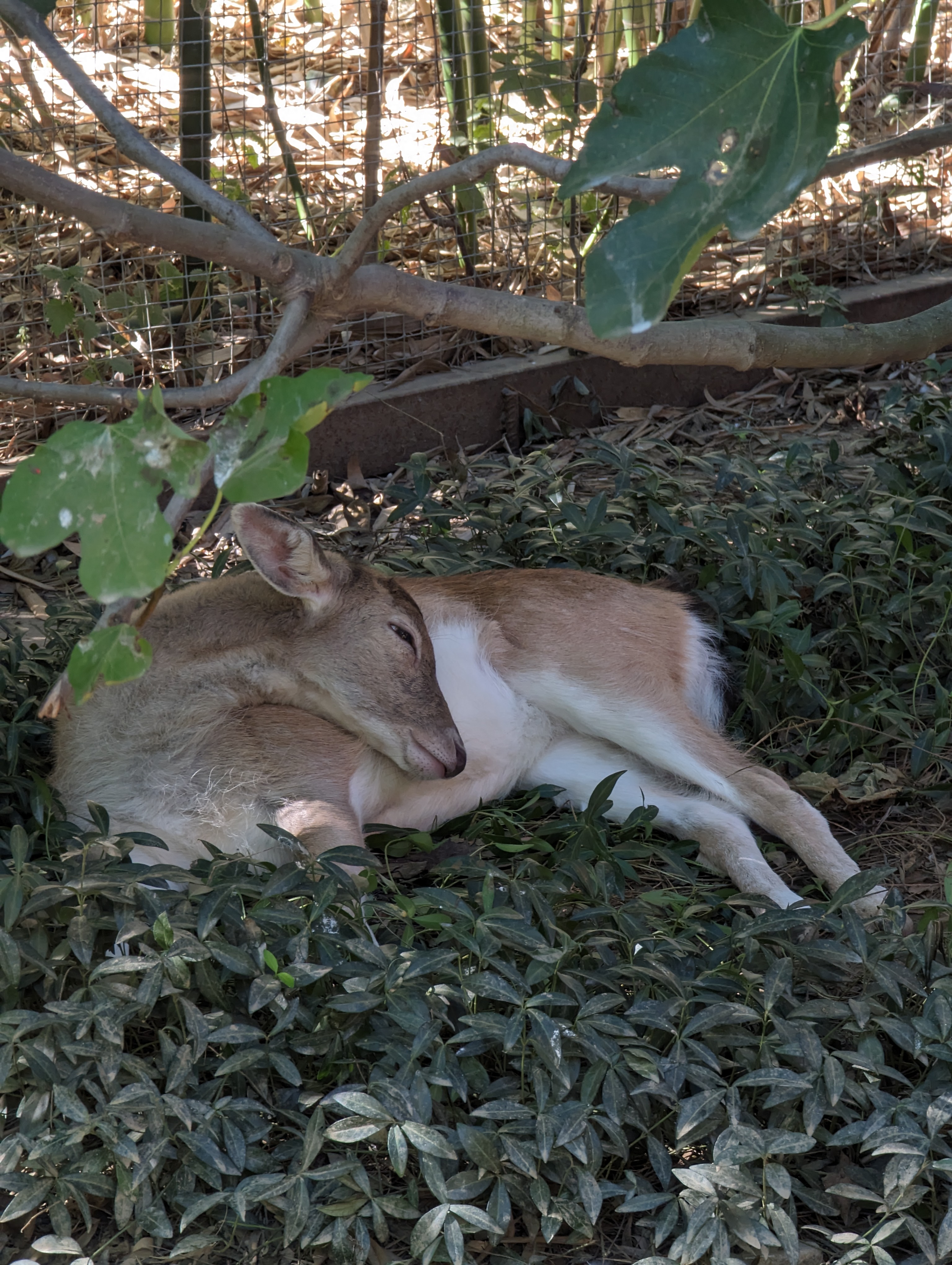 Photo n° 35 de l'avis de Thibaud.l fait le 10/10/2023 à 07:10