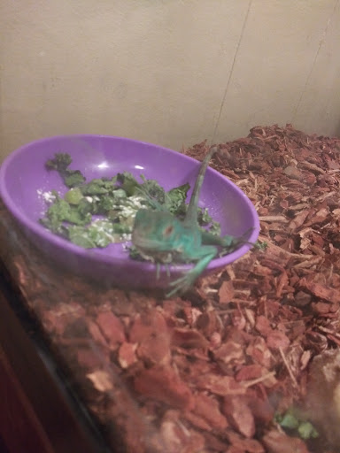 Pet Store «Pet Zone», reviews and photos, 1620 Marion-Mt Gilead Rd, Marion, OH 43302, USA