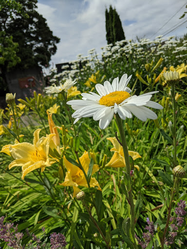 Park «Kirke Park», reviews and photos, 7028 9th Ave NW, Seattle, WA 98117, USA