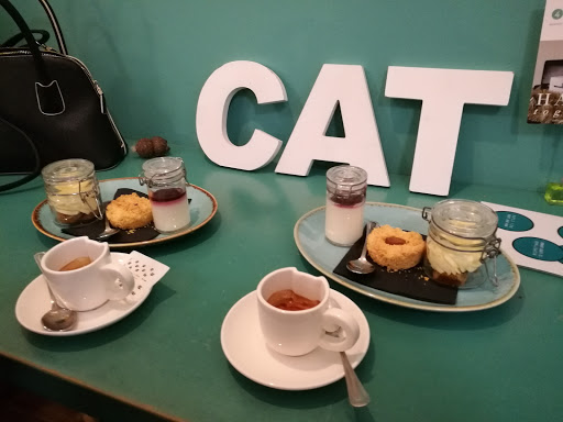 Crazy Cat Café