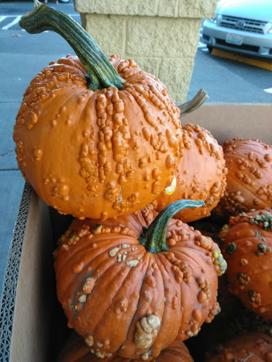 Grocery Store «Safeway», reviews and photos, 21301 Washington 410, Bonney Lake, WA 98391, USA